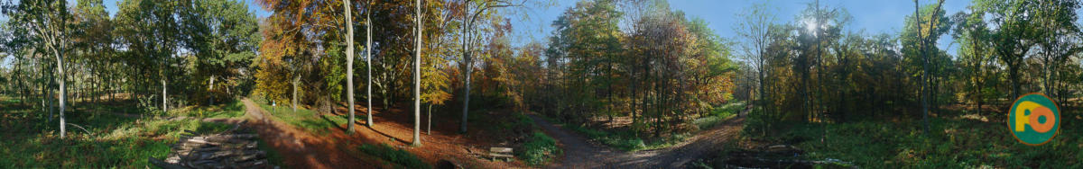 Händiefoto mit bildgenerierender KI ergänzt