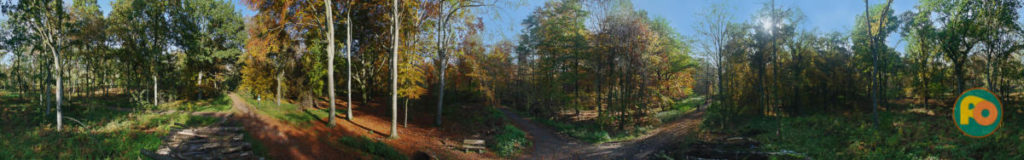 2015-11-01 - NSG Resser Wald Gelsenkirchen - 360° Zylinder-Panorama - einer der ersten Versuche, ein 360° Zylinder-Panorama -aus der Hand- - also ohne Stativ - aufzunehmen