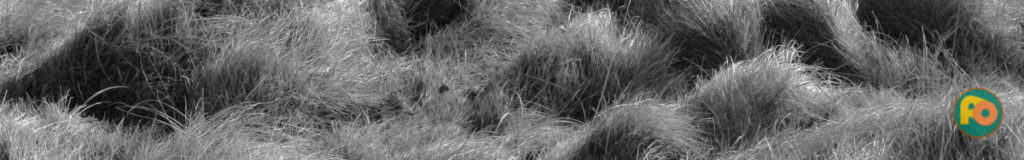 2015-11-03 - Schellenbergpark am -Haus Goldschmieding- in Castrop-Rauxel