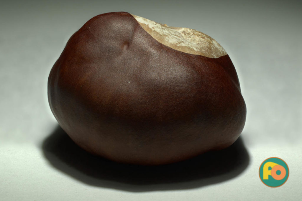 2016-04-29 - Kastanie - Makro, Kreativ, Makro