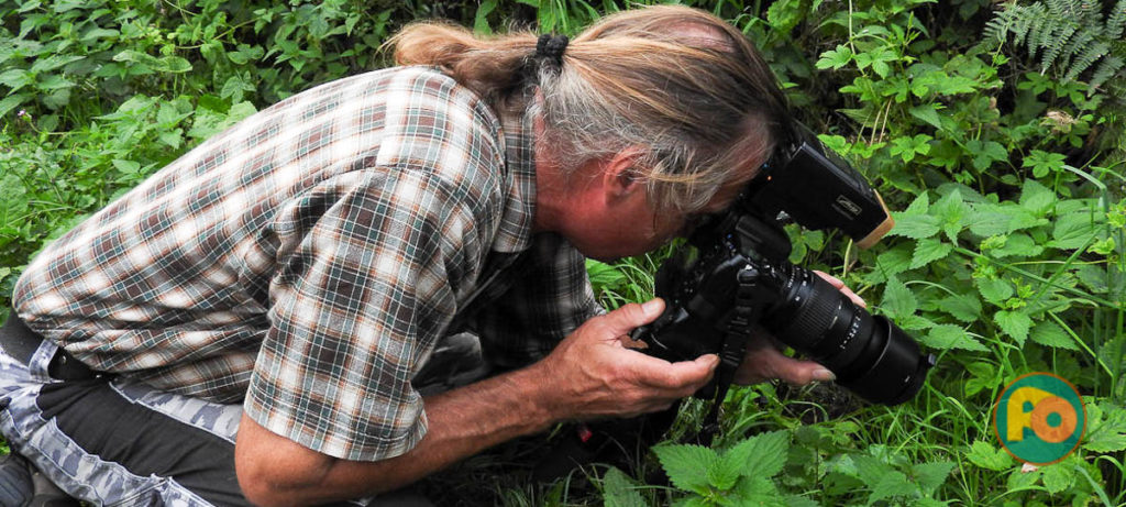 2017-08-24 - NSG Resser Wald - TheFotOpa & TheMof- TheSichelEulchen