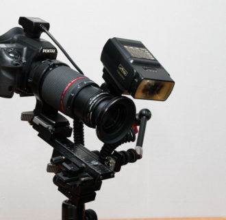 METZ mecablitz 32 Z-2 an Pentax K-7 - angesteuert über ein TTL-Auslösekabel - 1,5-fache Abbildungsvergrößerung mit Raynox 150 Vorsatzlinse - derzeitige Gerätekombination für die Makro-Fotografie