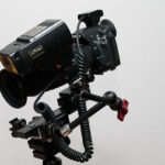 METZ mecablitz 32 Z-2 an Pentax K-7 - angesteuert über ein TTL-Auslösekabel - 1,5-fache Abbildungsvergrößerung mit Raynox 150 Vorsatzlinse - derzeitige Gerätekombination für die Makro-Fotografie