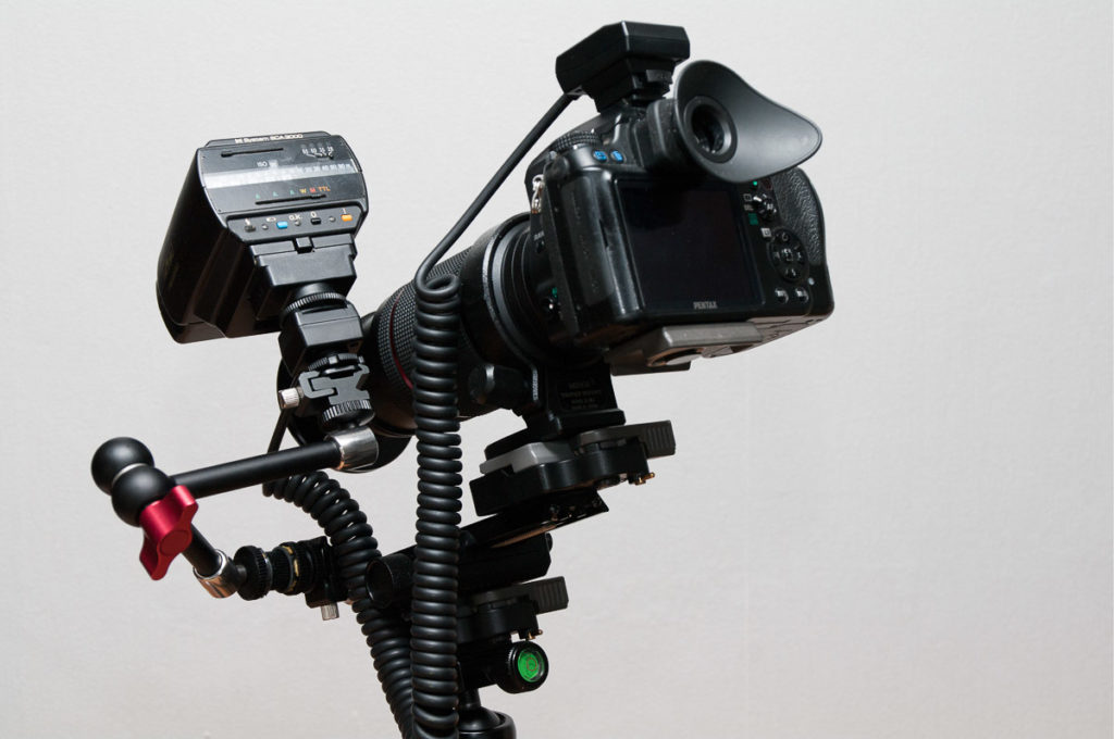 METZ mecablitz 32 Z-2 an Pentax K-7 - angesteuert über ein TTL-Auslösekabel - 1,5-fache Abbildungsvergrößerung mit Raynox 150 Vorsatzlinse - derzeitige Gerätekombination für die Makro-Fotografie